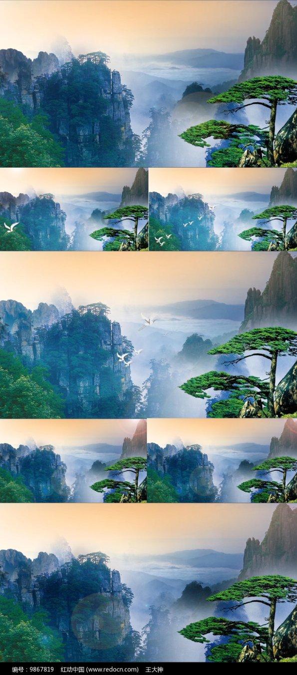 逃离世界杯现场